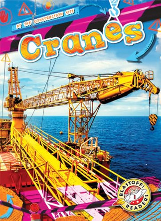 Cranes by Mari C Schuh 9798886870176