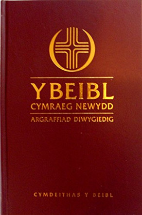 Y Beibl Cymraeg Newydd by  9780564099252