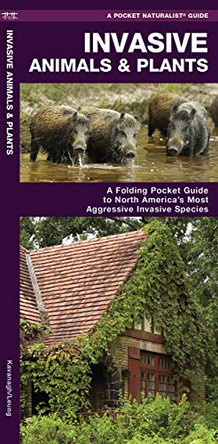 Invasive Animals & Plants: A Folding Pocket Guide to North America's Most Aggressive Invasive Species by James Kavanagh 9781620052990