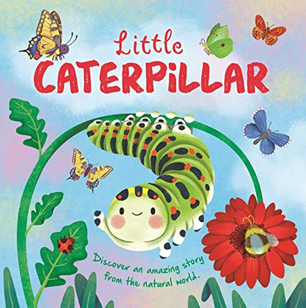 Little Caterpillar by Igloobooks 9781837716692