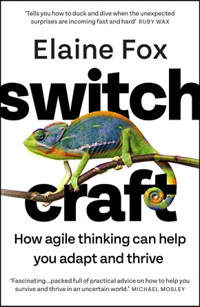 Switchcraft: How Agile Thinking Can Help You Adapt and Thrive by Elaine Fox