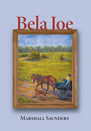Bela Joe by Margaret Saunders 9781039106796