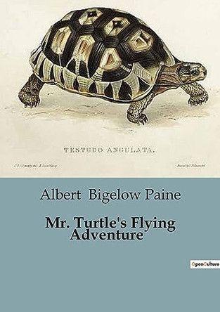Mr. Turtle's Flying Adventure by Albert Bigelow Paine 9791041825387