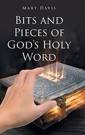 Bits And Pieces Of God's Holy Word by Mary Davis 9798886541809