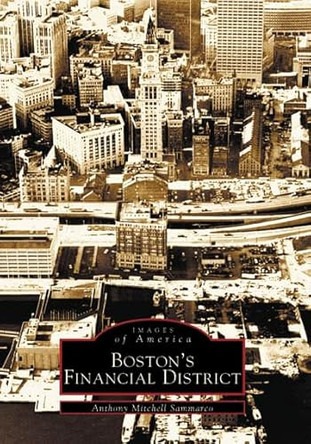 Boston's Financial District by Anthony Mitchell Sammarco 9780738511252