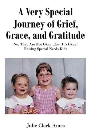 A Very Special Journey of Grief, Grace, and Gratitude: No, They Are Not Okay...but It's Okay! Raising Special Needs Kids by Julie Clark Ames 9781645316954