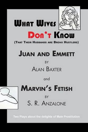 What Wives Don't Know by Alan Baxter 9780990485285