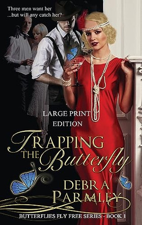 Trapping the Butterfly by Debra A Parmley 9780999252550