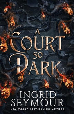 A Court So Dark by Ingrid Seymour 9781088044087