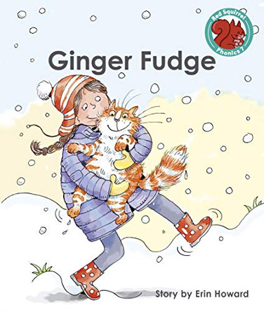 Ginger Fudge by  9781398216587