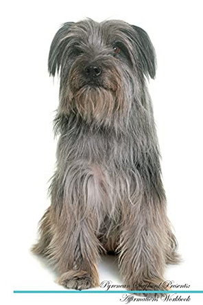Pyrenean Shepherd Affirmations Workbook Pyrenean Shepherd Presents: Positive and Loving Affirmations Workbook. Includes: Mentoring Questions, Guidance, Supporting You. by Live Positivity 9781526973801