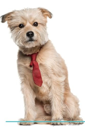 Pyrenean Shepherd Affirmations Workbook Pyrenean Shepherd Presents: Positive and Loving Affirmations Workbook. Includes: Mentoring Questions, Guidance, Supporting You. by Live Positivity 9781526973825