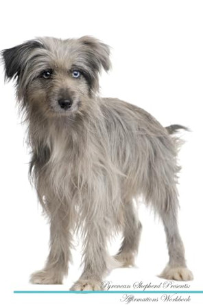 Pyrenean Shepherd Affirmations Workbook Pyrenean Shepherd Presents: Positive and Loving Affirmations Workbook. Includes: Mentoring Questions, Guidance, Supporting You. by Live Positivity 9781526973955