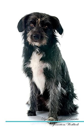 Pyrenean Shepherd Affirmations Workbook Pyrenean Shepherd Presents: Positive and Loving Affirmations Workbook. Includes: Mentoring Questions, Guidance, Supporting You. by Live Positivity 9781526973962