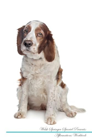Welsh Springer Spaniel Affirmations Workbook Welsh Springer Spaniel Presents: Positive and Loving Affirmations Workbook. Includes: Mentoring Questions, Guidance, Supporting You. by Live Positivity 9781526977397