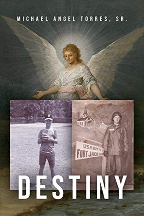 Destiny by Michael Angel Torres, Sr 9781646108299