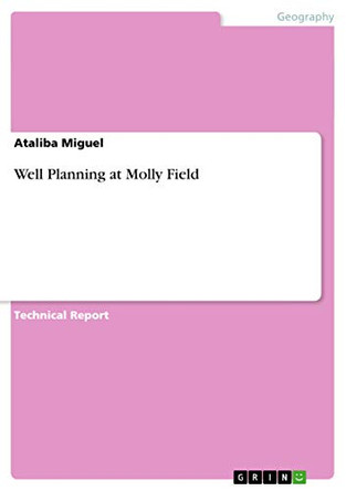 Well Planning at Molly Field by Ataliba Miguel 9783656713012