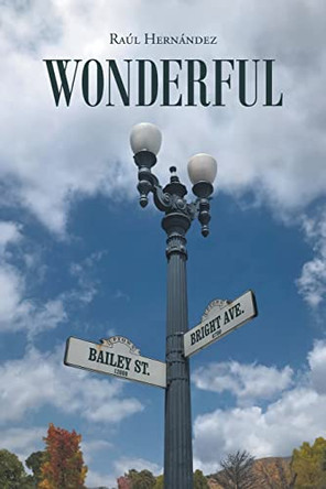 Wonderful by Raúl Hernández 9781638147893