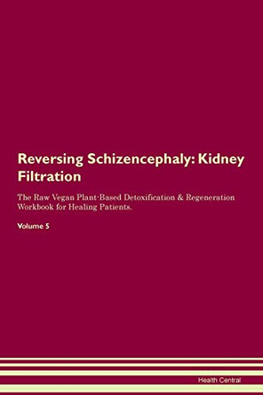 Reversing Schizencephaly: Kidney Filtration The Raw Vegan Plant-Based Detoxification & Regeneration Workbook for Healing Patients. Volume 5 by Health Central 9781395434984