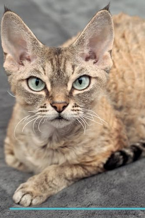 Devon Rex Affirmations Workbook Devon Rex Presents: Positive and Loving Affirmations Workbook. Includes: Mentoring Questions, Guidance, Supporting You. by Live Positivity 9781526969378