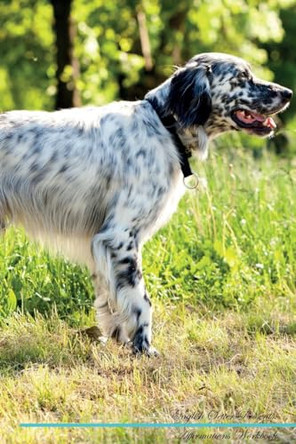 English Setter Affirmations Workbook English Setter Presents: Positive and Loving Affirmations Workbook. Includes: Mentoring Questions, Guidance, Supporting You. by Live Positivity 9781526969491