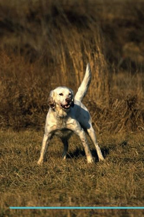 English Setter Affirmations Workbook English Setter Presents: Positive and Loving Affirmations Workbook. Includes: Mentoring Questions, Guidance, Supporting You. by Live Positivity 9781526969507