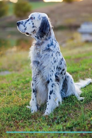 English Setter Affirmations Workbook English Setter Presents: Positive and Loving Affirmations Workbook. Includes: Mentoring Questions, Guidance, Supporting You. by Live Positivity 9781526969538