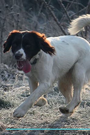English Springer Spaniel Affirmations Workbook English Springer Spaniel Presents: Positive and Loving Affirmations Workbook. Includes: Mentoring Questions, Guidance, Supporting You. by Live Positivity 9781526969682