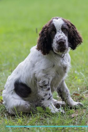 English Springer Spaniel Affirmations Workbook English Springer Spaniel Presents: Positive and Loving Affirmations Workbook. Includes: Mentoring Questions, Guidance, Supporting You. by Live Positivity 9781526969804