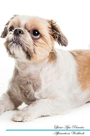 Lhasa Apso Affirmations Workbook Lhasa Apso Presents: Positive and Loving Affirmations Workbook. Includes: Mentoring Questions, Guidance, Supporting You. by Live Positivity 9781526971005