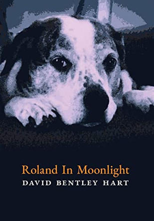 Roland in Moonlight by David Bentley Hart 9781621386940