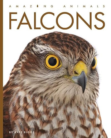 Falcons by Kate Riggs 9781682771181