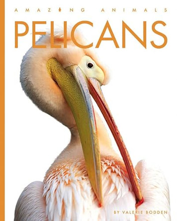 Pelicans by Valerie Bodden 9781682771297