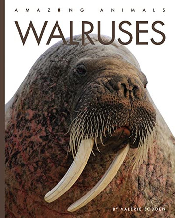 Walruses by Valerie Bodden 9781682771365