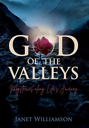 God of the Valleys: Mysteries along Life's Journey by Janet Williamson 9781486621804