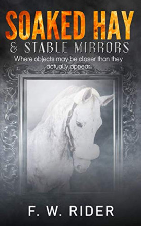 Soaked Hay & Stable Mirrors: Where Objects May Be Closer Than They Actually Appear by FW Rider 9781838211035