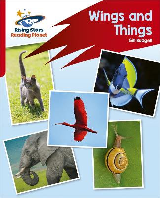 Reading Planet: Rocket Phonics - Target Practice - Wings and Things - Red B Gill Budgell 9781398325968