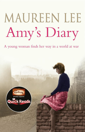 Amy's Diary Maureen Lee 9781409137382