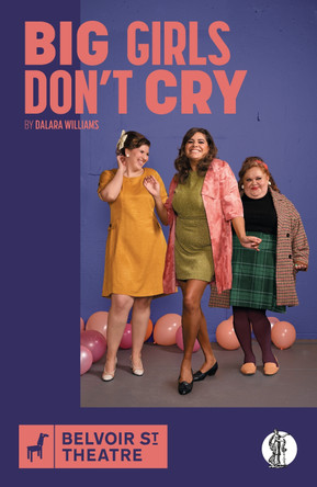 Big Girls Don't Cry by Dalara Williams 9781760629601