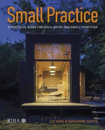 Small Practice: A practical guide for solo, micro and small practices Liz King 9781915722553