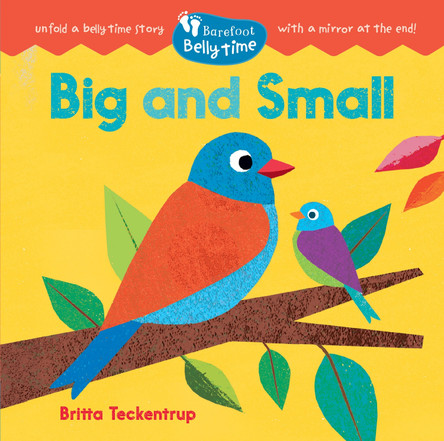 Barefoot Belly Time: Big and Small Britta Teckentrup 9798888597767