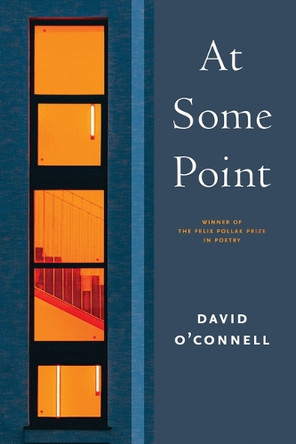 At Some Point David O’Connell 9780299355449