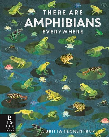 There Are Amphibians Everywhere Camilla De La Bedoyere 9781800787124