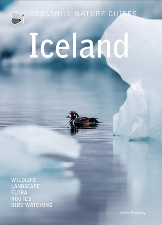 Iceland Dirk Hilbers 9789491648366