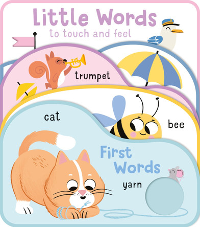 First Words (Little Words To Touch) 9789465055732