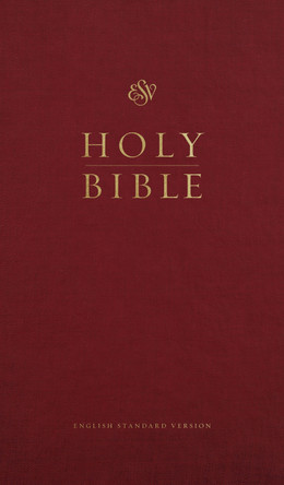 ESV Church Bible 9798874903411