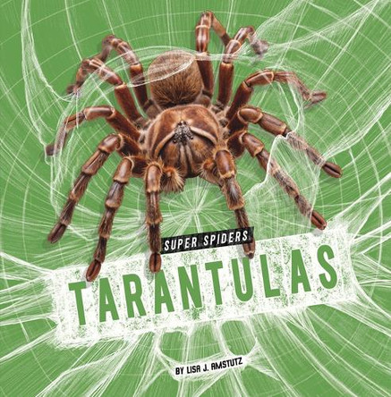 Tarantulas by Lisa J Amstutz 9798875224522