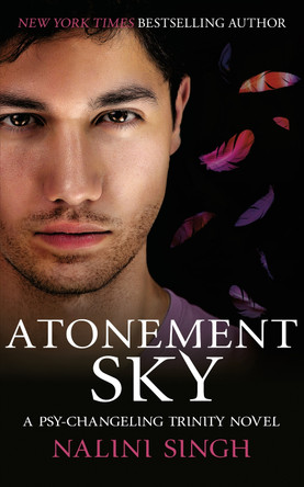 Atonement Sky: Book 9 by Nalini Singh 9781399626057