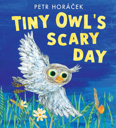 Tiny Owl's Scary Day by Petr Horácek 9781536235876
