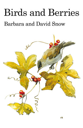 Birds and Berries by Barbara Snow 9781408138212